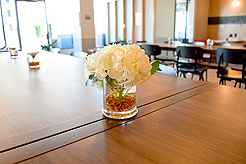 FRESH LOOK REAL ESTATE LAUNCH EVENT